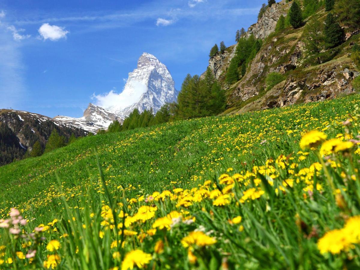Apartment Breithorn By Interhome Zermatt Exteriör bild